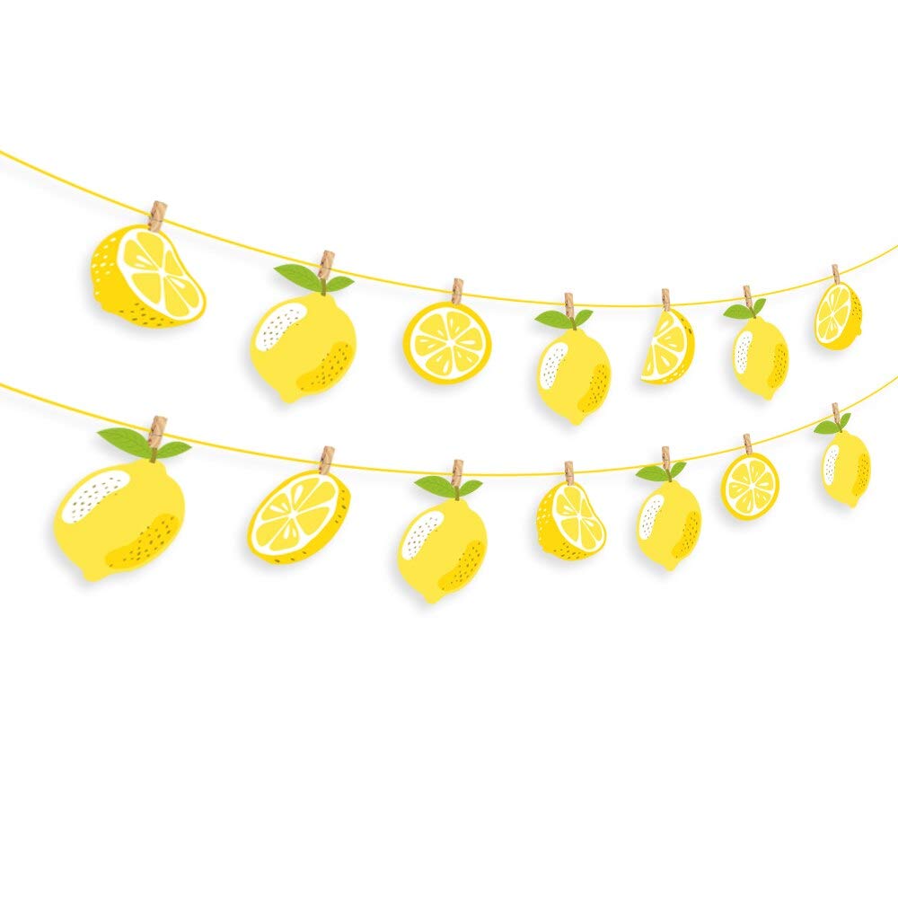 Kristin Paradise Lemon Banner, Citrus Lemonade Party Sign, Lime Birthday Decorations, Boy Girl Baby Shower Theme Supplies, Bday Kids 1st First Decor