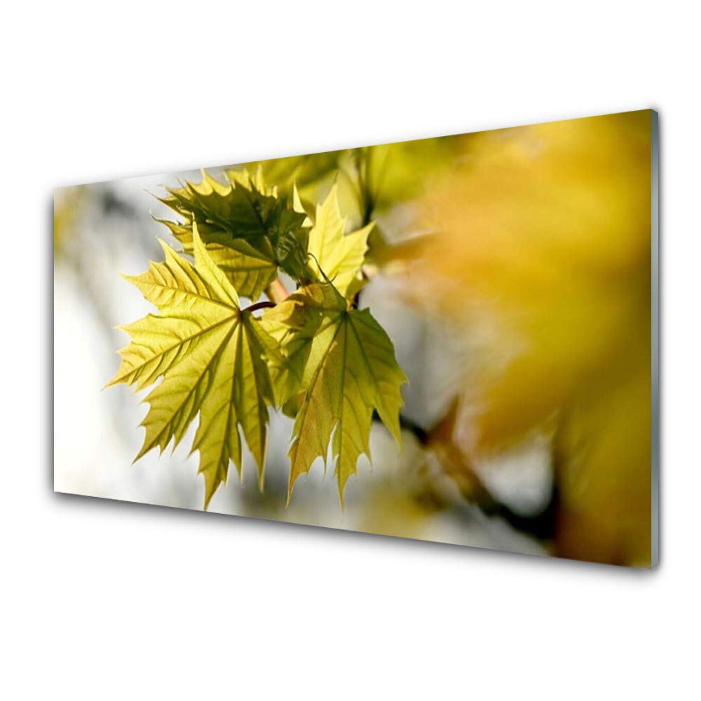 Tableau sur verre acrylique 100x50cm Tulup motif floral moderne