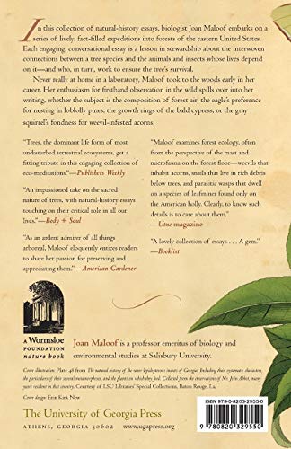 Teaching the Trees: Lessons from the Forest - Image 2