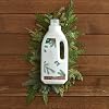 Thymes Laundry Detergent - 32 Fl Oz - Frasier Fir