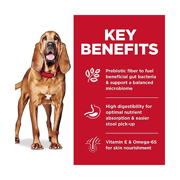 Hill’s Science Diet Adult Sensitive Stomach & Skin Large Breed Dry Dog Food, Chicken Recipe, 30 lb Bag Hill’s Science Diet Adult Sensitive Stomach & Skin Large Breed Dry Dog Food, Chicken Recipe, 30 lb Bag