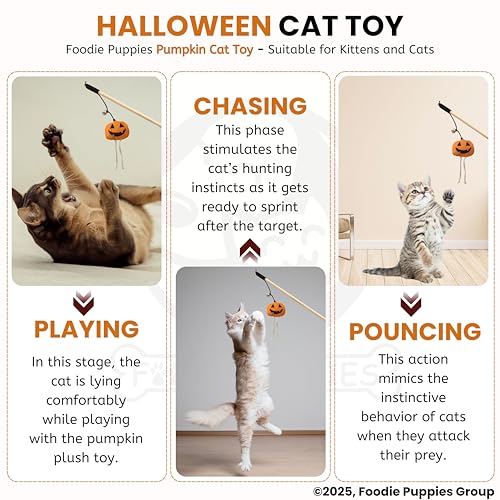 Image of Foodie Puppies Cat Teaser Playing Wooden Stick Halloween Plush Toy (Pumpkin, 41cm) for Cats and Kittens | Interactive Bell Hanging Wood Wand | Fun Teasing, Catching, Chasing and Bonding Play