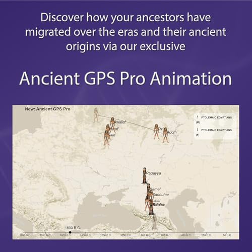 image for AffinityDNA Upload Your Raw Autosomal DNA File & Discover Your Heritag