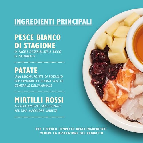 Lily's Kitchen – Crocchette sane e deliziose di pesce per gatti, 2 kg - Immagine 1