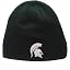 Michigan State