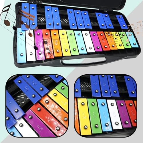 Image of Soulmate 25 Note Xylophone for kids Colorful Musical Toy Metal Keys,Professional Xylophone Glockenspiel Instrument with case and Two Safe Mallets for Beginners, Music Teaching, Gifts(Black)
