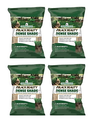 Jonathan Green Black Beauty Dense Shade Mixed Full Shade Grass Seed 1 lb