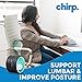 Chirp Wheel Foam Roller – Targeted Back & Neck Relief, Lumbar Spine Stretcher, Spinal Decompression Back Stretcher, Massage Roller with Density Foam for Physical Therapy, Supports 500lbs, 6-Inch Mint