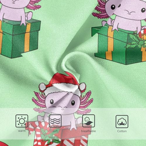 Cute Axolotls Christmas Santa Hats Toddler Girls's Underwear 2T 202c12723