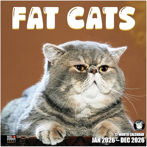 RED EMBER Select - Fat Cats 2026 Wall Calendar 12 Month | 12" x 24" Open | Thick & Sturdy Paper | Holiday Gift | Kitten Funny Cat Calendar 2026