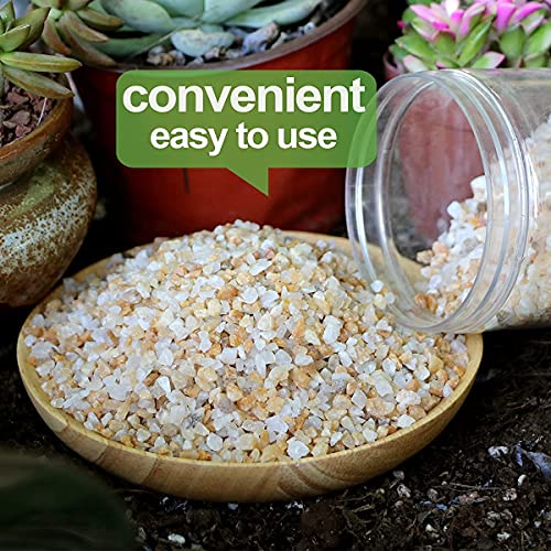 Coarse Silica Craft Sand Natural Decorative Real Sand Bonsai Pumice Succulent Cactus Soil Cover Top Dressing Terrarium Sand Natural Color for Cacti, Vase Filler, Aquarium, Carnivorous Plant Mix 2.2lb - Thumbnail 5