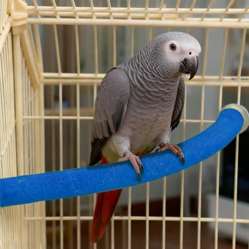 Image of Rypet Parrot Perch Stand Toy Used for Cage Corner for Paw Grinding Clean Stick Exercise, Rough-Surfaced Quartz Bird Perch Standing Cage Accessorie for for Small Parakeets Cockatiel Conures (Blue XL)