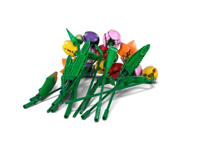 Amazon.co.jp: LEGO JAPAN: レゴ ボタニカル