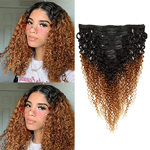 Seelaak 22 Inches Ombre Brown 1B /30 T30 Afro Kinky Curly 4C 3A Clips in Hair Extensions Human Hair Kinky Curly Clip Ins Hair Extension for Black Women