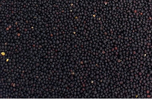 Koolzaadkussen 30 x 20 cm, biologische stof blauw-wit - als warmtekussen en koelkussen - korrelkussen voor magnetron en… - Image 4