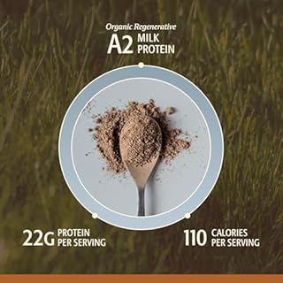 ELEVATE ORGANIC Men’s Whey Protein Powder, Chocolate, Grass Fed A2 Regenerative Whey with KSM-66 Ashwagandha® & Acti Veda™ (22g Protein)