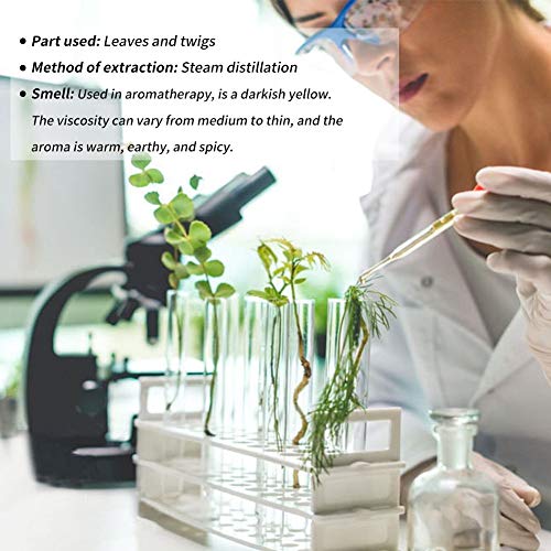 2-Pack Cinnamon Essential Oil - Pure & Natural Cinnamon Essential Oil Set, For Aromatherapy/Skin Care, 2X10Ml (Cinnamon Oil) #TOP2