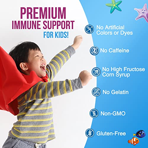 Kids Immune Support Gummy With Vitamin C, Zinc & Echinacea - Tasty Vitamins For Children, Non-Gmo, Vegan, Children's Natural Chewable Fruit Flavored Supplement For Kids - 60 Gummies #TOP4