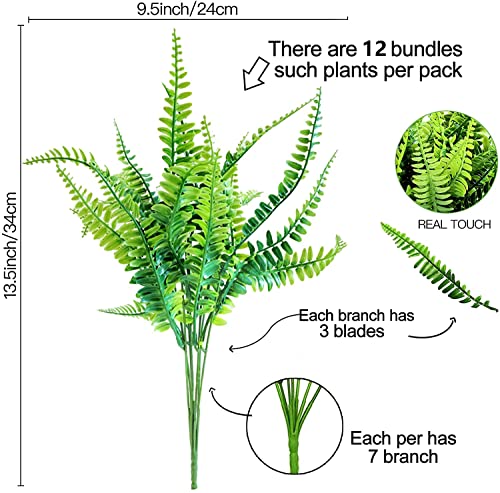 planta de la abundancia en venta marca PUBAMALL (2)