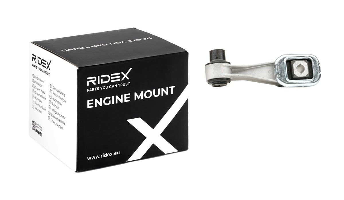 RIDEX 247E0460 Support moteur Compatible avec RENAULT Clio 3 3/5 portes BR0/1, CR0/1