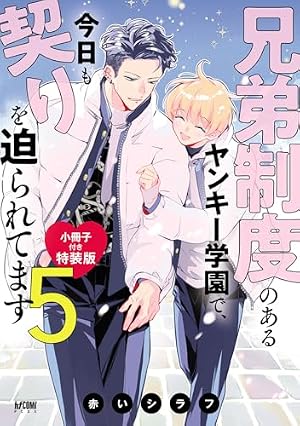 Amazon.co.jp: 兄弟制度のあるヤンキー学園で、今日も契りを迫られて