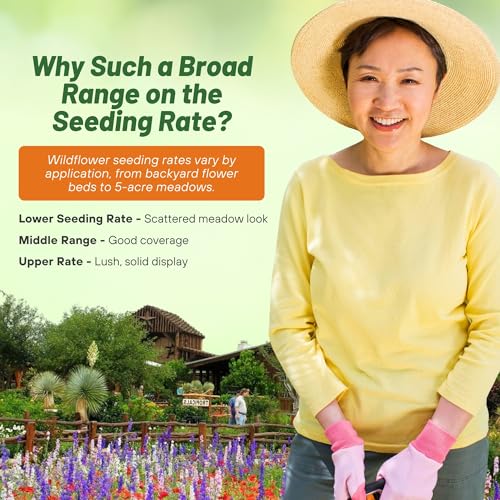 image for Outsidepride Texas & Oklahoma Wildflower Seed Mix - 1/4 lb Drought-Tol