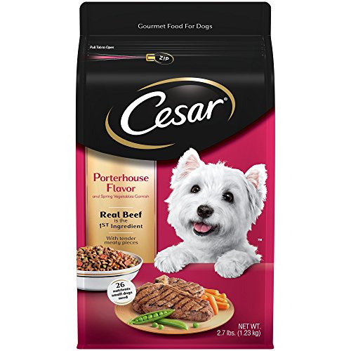 CESAR Porterhouse Flavor With Spring Vegetables Dry Small Breed Dog Food 2.7 Pounds