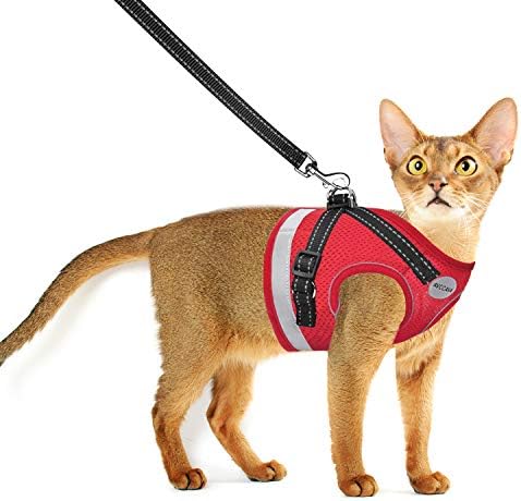 AVCCAVA Cat Harness and Leash for Walking, Escape Proof Soft and Breathable Adjustable Vest Harness for Cats, Lightweight Easy to Control Medium Dog Kitten Harness, Comfortable Outdoor Jacket