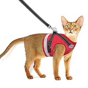 Cat Harness and Leash for Walking, Kitten Escape Proof Harnesses, Adjustable Reflective Puppy Harness with Leashes Set, Easy Adjustable Soft net Breathable Pet Safety Vest