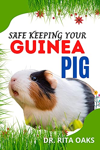 guinea pig essentials