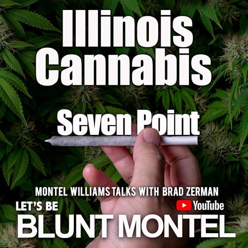 From Finance to Wellness: Brad Zerman&rsquo;s Impactful Pivot Podcast Por  arte de portada