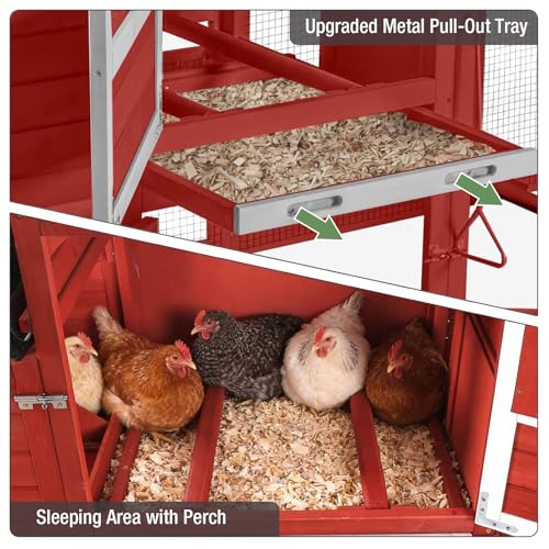 View 4