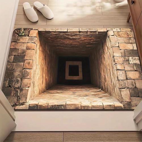Rugs That Look Like a Hole, 3D Carpet Bottomless Hole Optical Illusion Area Mat, Dog Gets Scared of 3D Hole Carpet, Optical Illusion Rugs for Door Entrance, Bathroom, Living Room (C, 40 * 60cm)