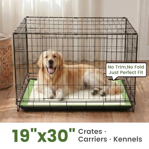 Image of Gardner Pet Pee Pads for Dogs 19 inchX30 inch with Adhesive 10 Count, Large Disposable Dog Pee Pads, Non-Slip Puppy Training Pads for Crate /Cage /Carrier