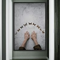 Framed Canvas Wall Art Butterflies Butterfly Colorful Farmhouse/Country Hallway Insects Multicolor Photography - 16x24 inches