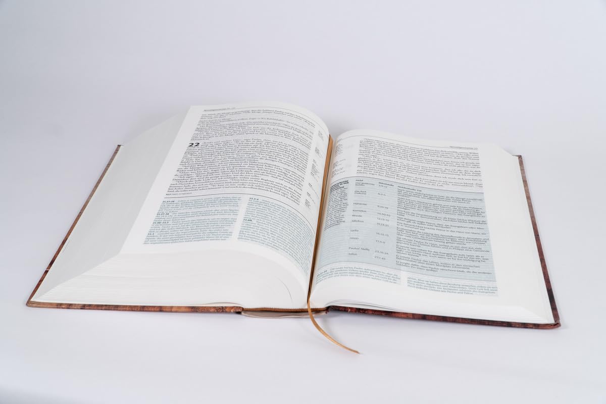 Begegnung fürs Leben, Motiv "Buch": Die Studienbibel für jeden Tag (Neues Leben. Die Bibel)