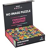Normic - No Image Puzzle 1000 Irregular Pieces Extreme Difficult Jigsaw Challenge Adults Hardest Puzzle No Guide Ultimate Brain Teaser Hard Level Polar Lights Mystery Unique Gift