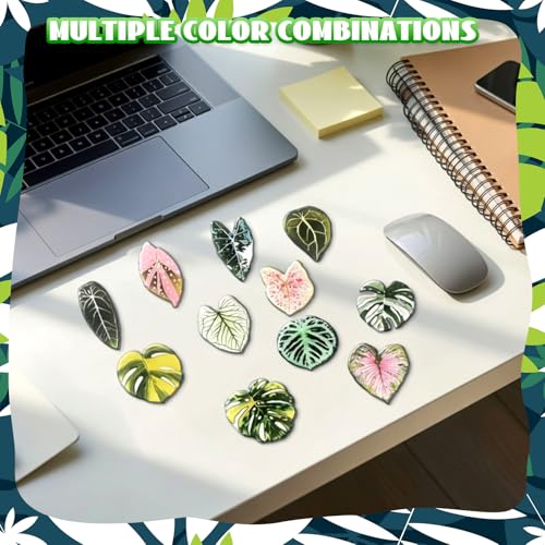 Imanes decorativos hoja Sabary pack 30 unidades miniatura 5
