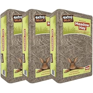 Extra Select Premium Meadow Hay for...