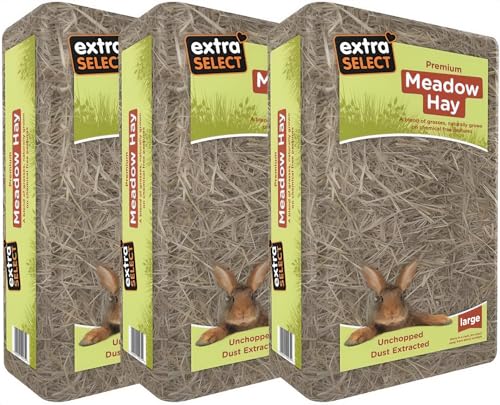 Extra Select Premium Meadow Hay for Small Animals – UK Sourced ideal Rabbit Food, Hay for Guinea Pigs, Hedgehogs, etc. – 2kg (Pack of 3, Total 6kg)