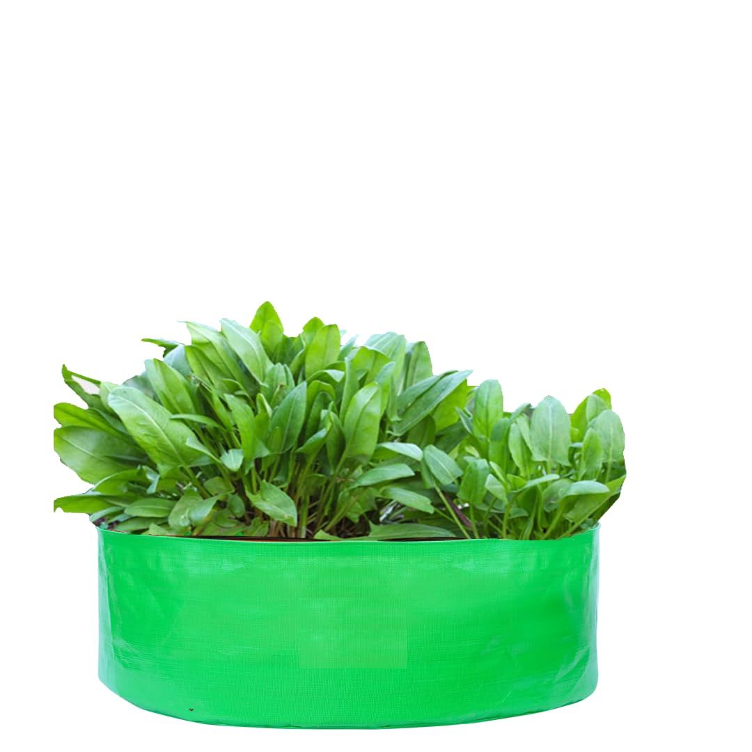 See full amazon price history chart for GROW2PLANT 24" x 9" (Pack of 5) Grow Bag for Terrace Gardening, Premium Plus HDPE 260 GSM Green/Orange Plant Bags GROW2PLANT 24" x 9" (Pack of 5) Grow Bag for Terrace Gardening, Premium Plus HDPE 260 GSM Green/Orange Plant Bags (B0DDY58SJZ) Amazon Price History, Amazon Price Tracker
