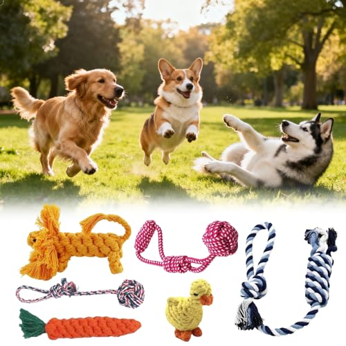 Corde pour chiens : pack de 6 jouets interactifs en coton à mâcher - 4