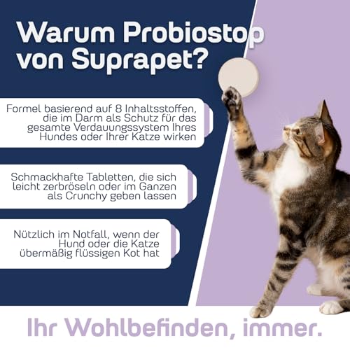 Suprapet Probiostop Probiotika für Hunde und Katzen 30 Tabletten – Bekämpft Durchfall und Verdauungsstörungen – Unterstützung für die Darmflora