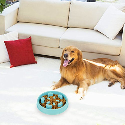 STXMALL Comedero Perro Comedero Gato Lento Despacio a Comer Anti-Asfixia Fun Juguetes Interactivos Para Animales Pequeños Medium Gran Mascota Perro Gato Pétalos Azul