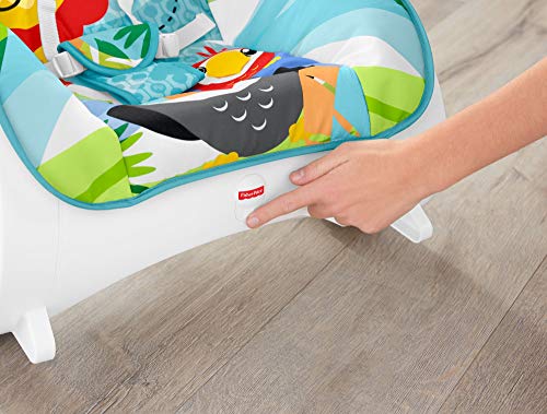 Fisher-Price Seggiolino Dondolino Cuccioli della