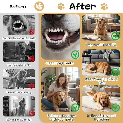 Image of Dog Soccer Ball with Straps, 6 Inch for Small and Medium Dogs, E | Footable Floating Dog Toy for Training, Fetch & Water Play, Interactive Dog Toys with Pump and Needle for Inflation