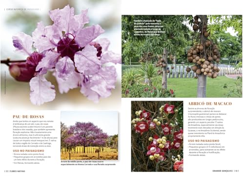 Curso Natureza de Paisagismo - Como Usar em Projetos e Cultivar Flores Nativas