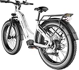 zebra deutsch 4 【250W Bürstenloser Getriebenabenmotor mit 86 Nm Drehmoment】Der Motor nutzt den neuesten modernisierten inneren Ring, der auf hohen Temperaturwiderstand und bessere Wärmeableitung spezialisiert ist. Der 250W Motor mit 86 Nm schafft eine Steigung bis zu 15%.