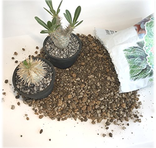 Amazon Co Jp Shizen Ok 自然応用科学株式会社 Tools M インドア キッチンガーデン