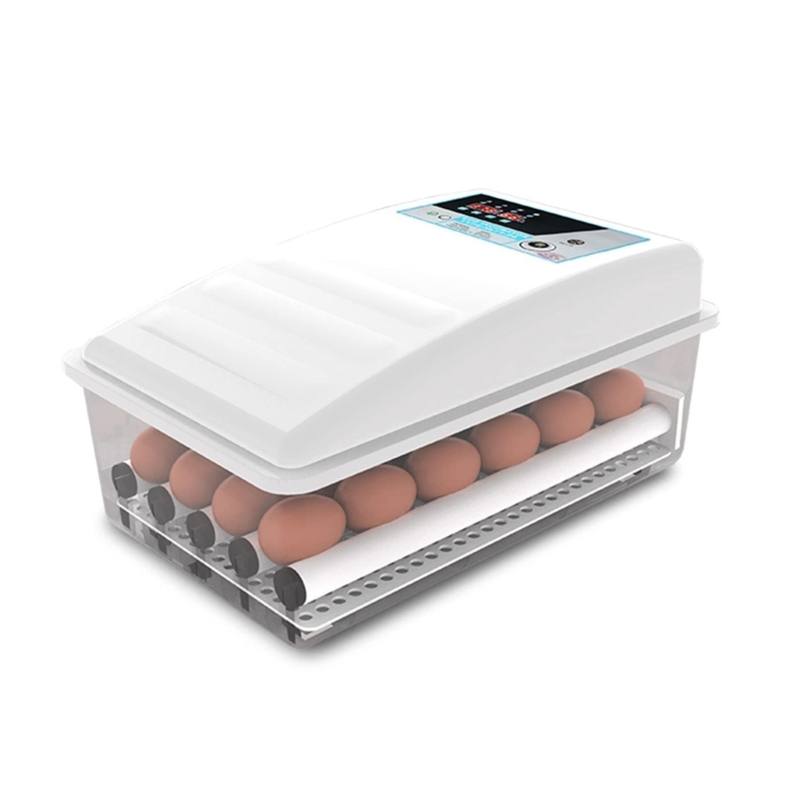 Buy Incubators for Hatching Eggs Incubators for Quail Eggs 24 Eggs